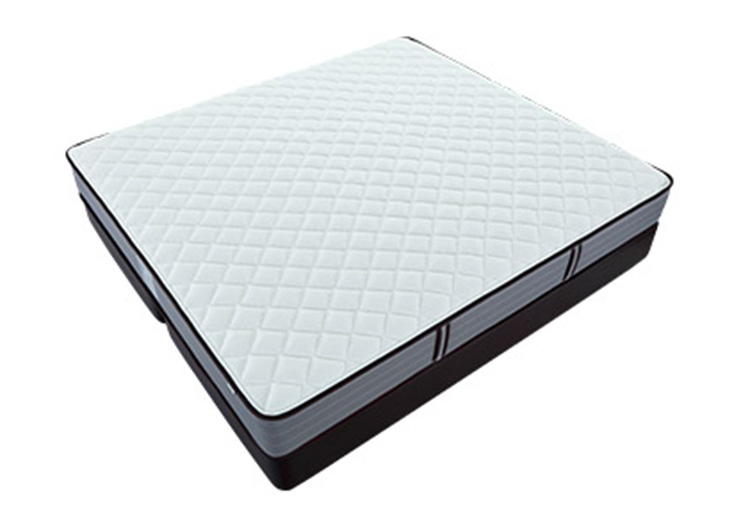 未标题-3_0000_a243aa37e1b2a6ded1bf35d7e07c2f70